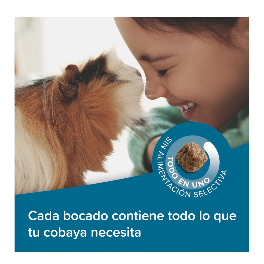 Beaphar Care + Pienso para cobayas, , large indicador imagen numero 4