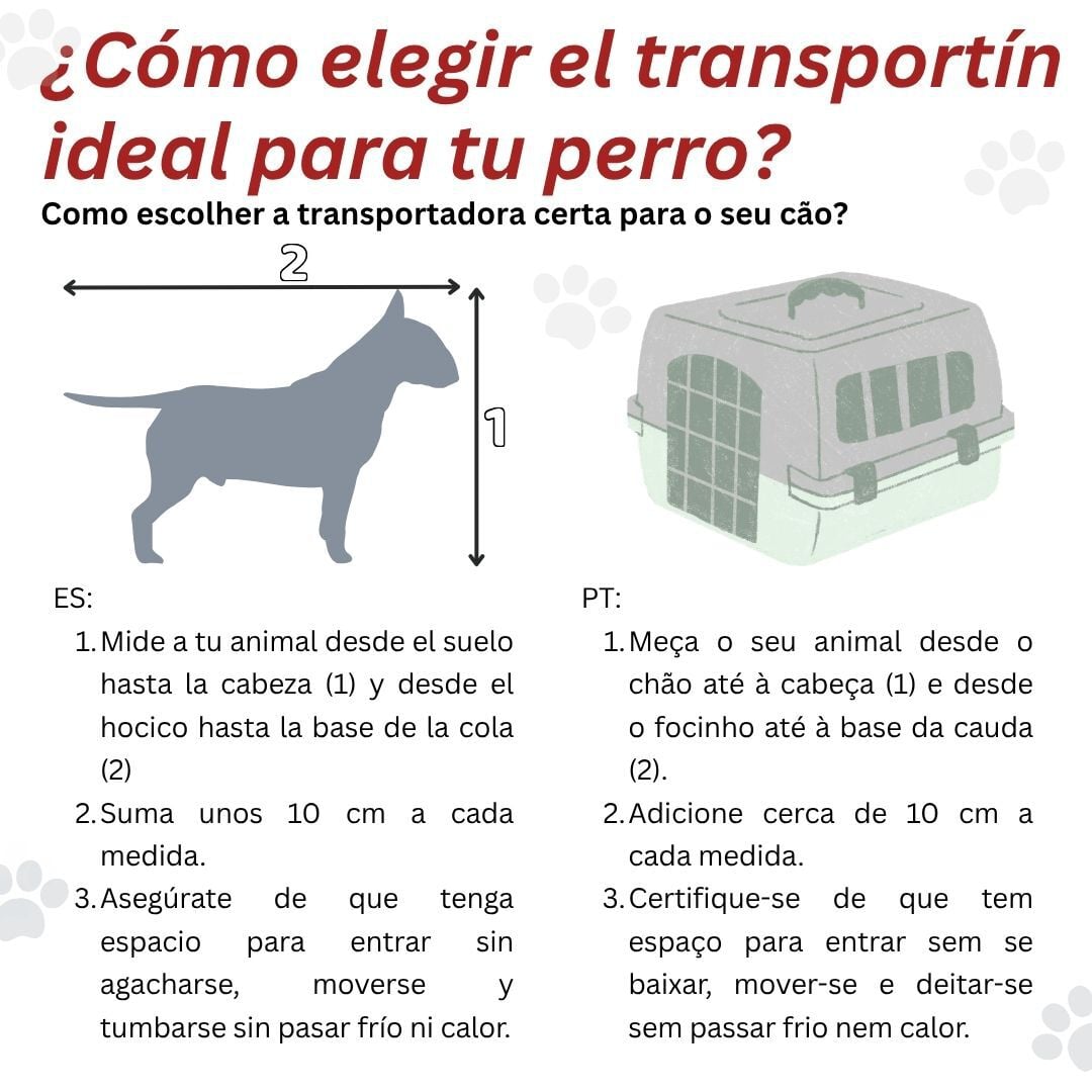 Outech IATA Apolo Transport&iacute;n para perros y gatos, , large indicador imagen numero 6