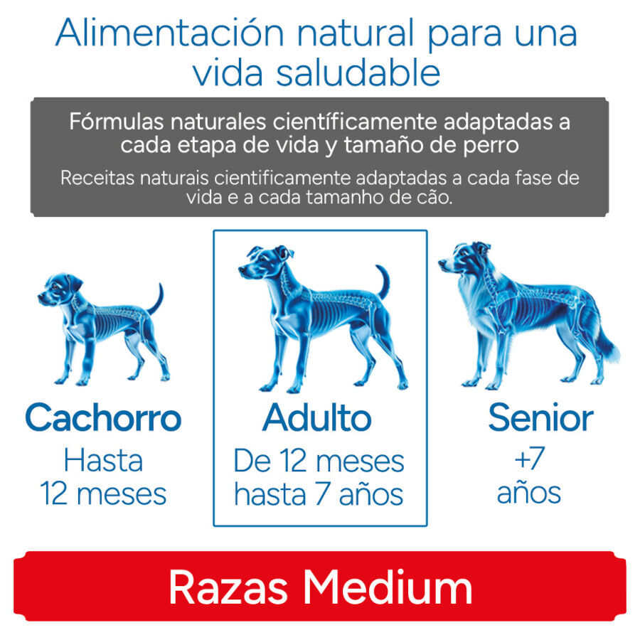 12 kg Criadores Cient&iacute;fico Adulto Medium Pienso Pollo para perros, , large indicador imagen numero 11