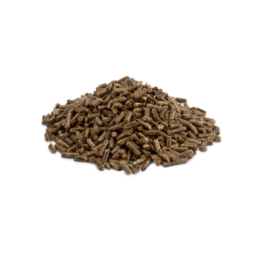 1 kg Versele-Laga Cripsy Pellets Pienso para chinchillas y deg&uacute;s, , large Imagen numero 3