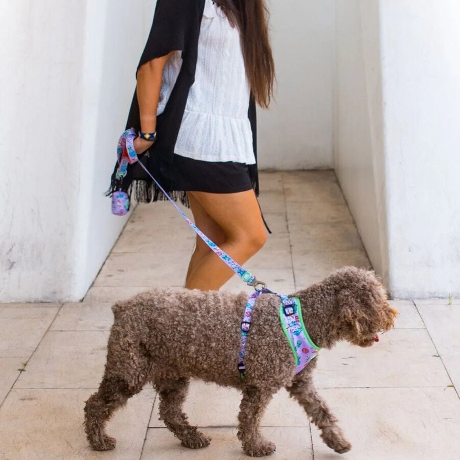 Dukier Correa Estampado Alien para perros, , large indicador imagen numero 1
