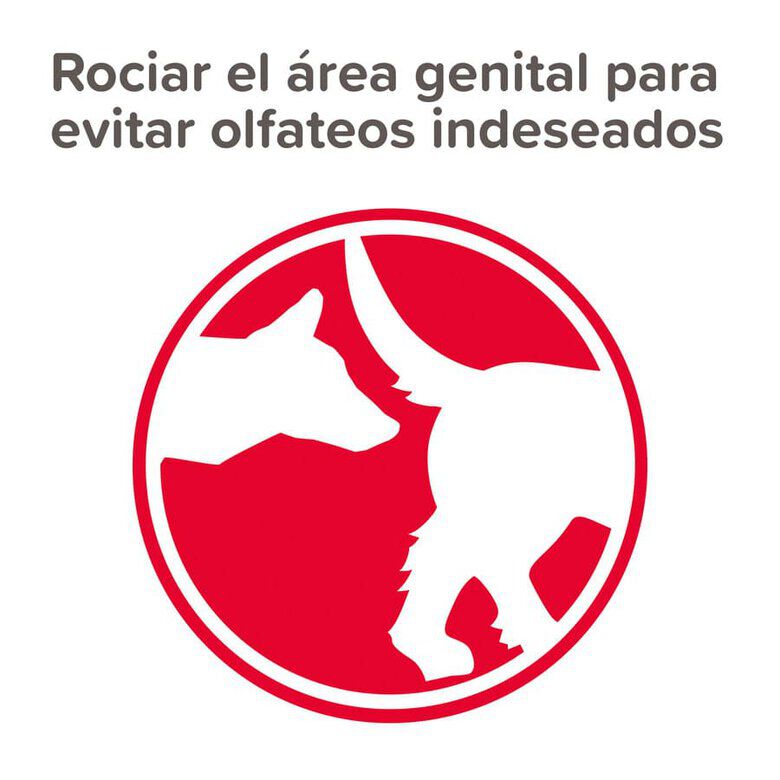 Beaphar Spray Anticelo para perros hembras2 indicador imagen numero 2