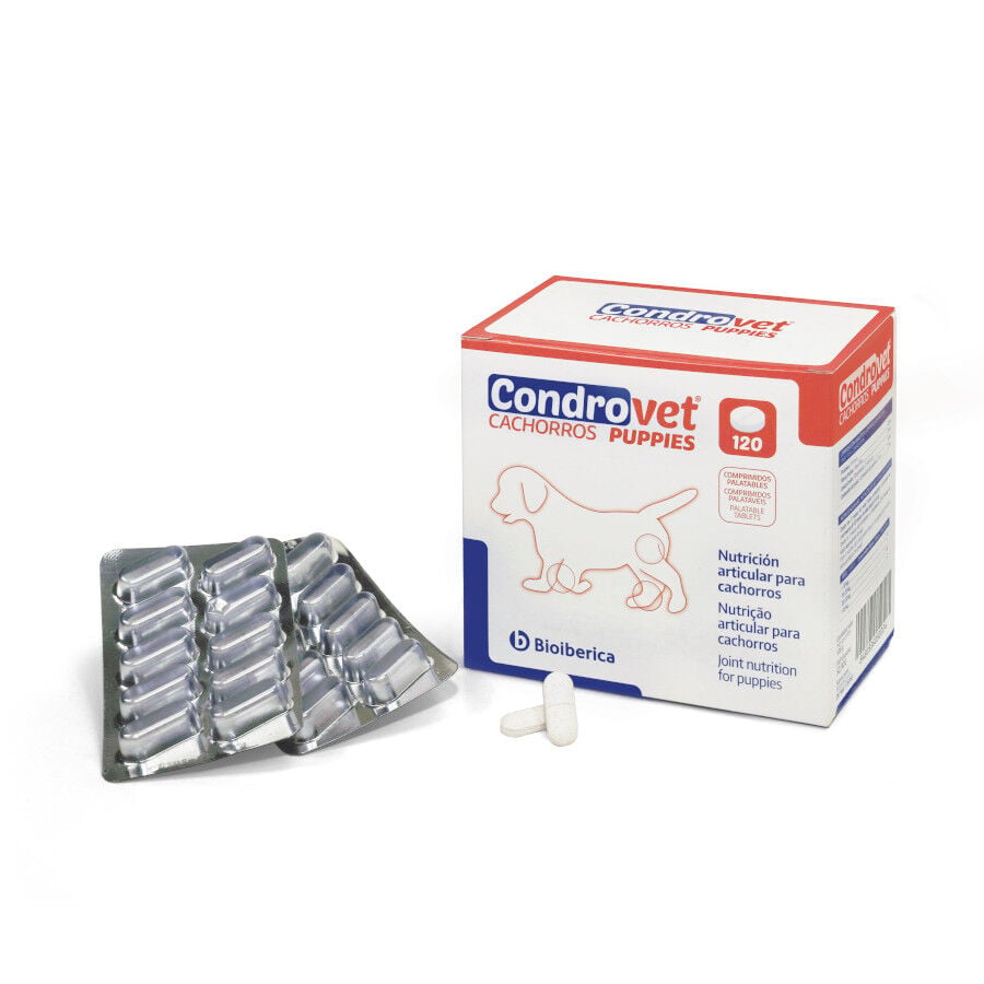 120 comprimidos Bioib&eacute;rica Condrovet Condroprotector articular para cachorros, , large indicador imagen numero 2