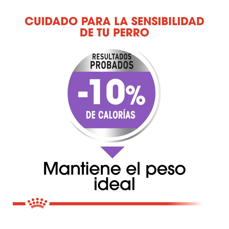 3 kg Royal Canin Sterilised Medium pienso para perros, , large indicador imagen numero 6