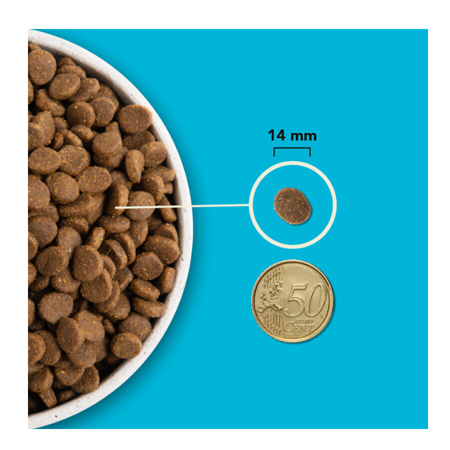 11.4 kg Acana Pac&iacute;fica pienso para perros, , large Imagen numero 8