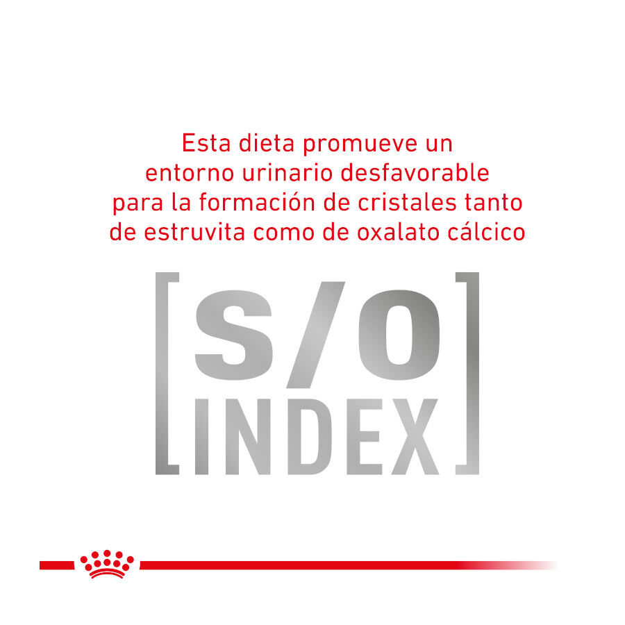 4 kg Royal Canin Veterinary Gastrointestinal Fibre Response pienso para gatos, , large Imagen numero 6