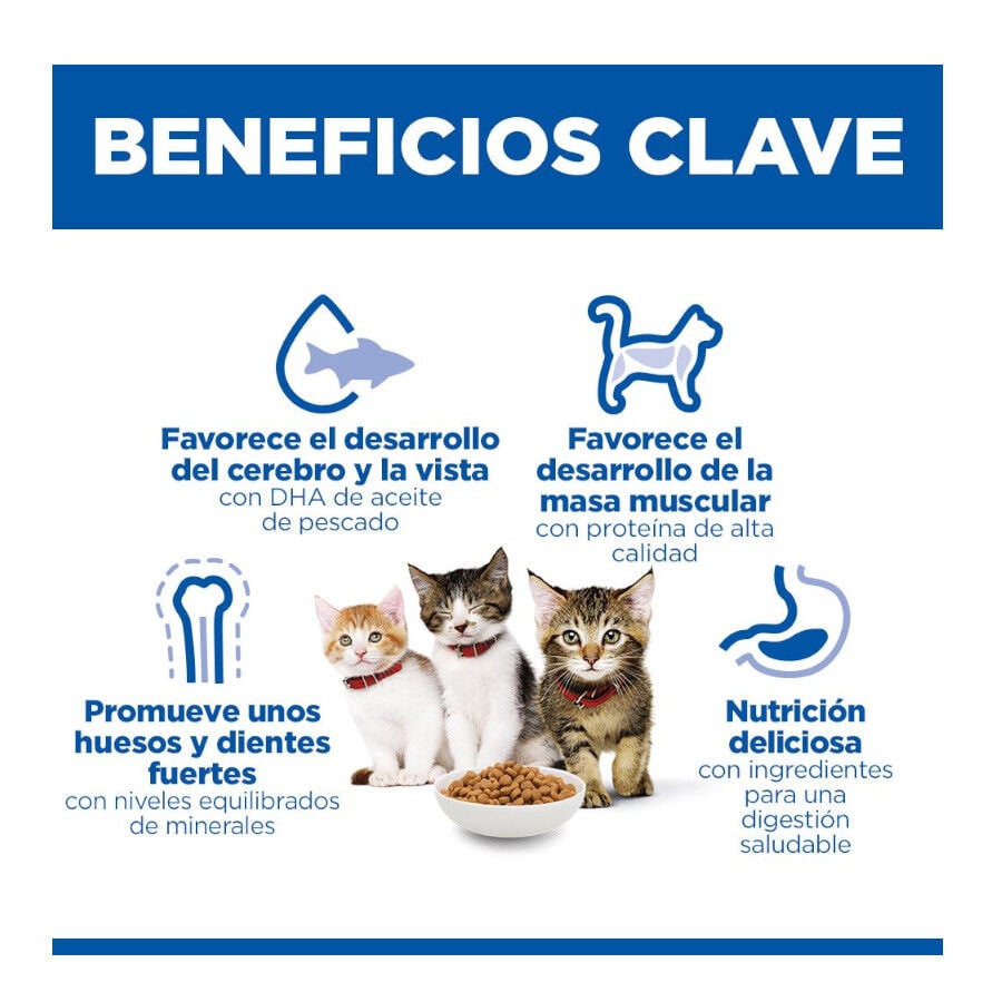 1.5 kg Hill's Science Plan Pienso Salm&oacute;n para gatitos, , large indicador imagen numero 10