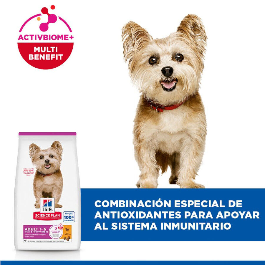 10 kg Hill's Science Plan Adult Small y Mini Pollo pienso para perros, , large indicador imagen numero 4