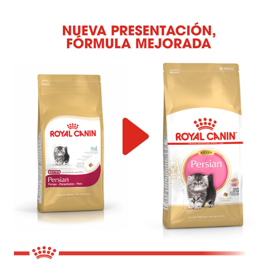 10 kg Royal Canin Kitten Persia pienso para gatos, , large Imagen numero 3