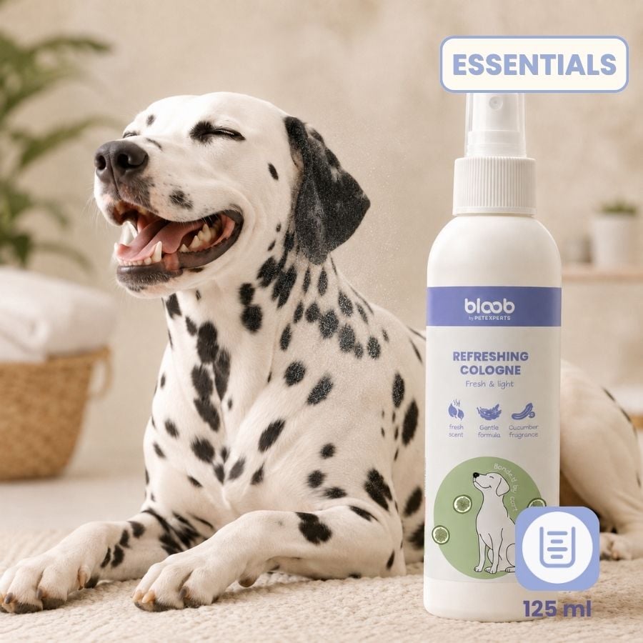 Bloob Colonia Refrescante Pepino para perros, , large indicador imagen numero 6