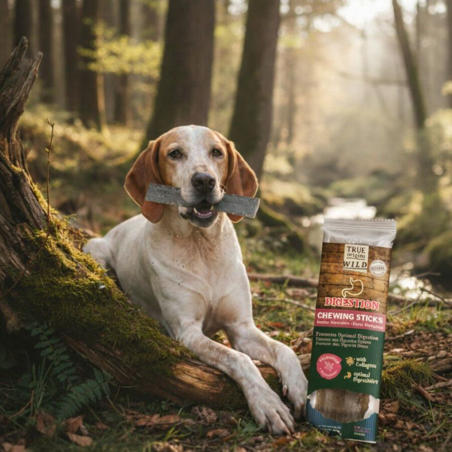 1 ud. True Origins Digestion Chewing Sticks Snack para perros, , large indicador imagen numero 1