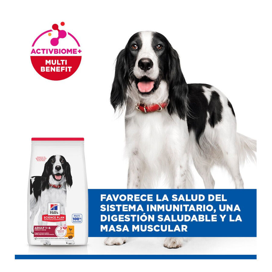 14 kg Hill's Science Plan Adult Medium Pollo pienso para perros, , large indicador imagen numero 4