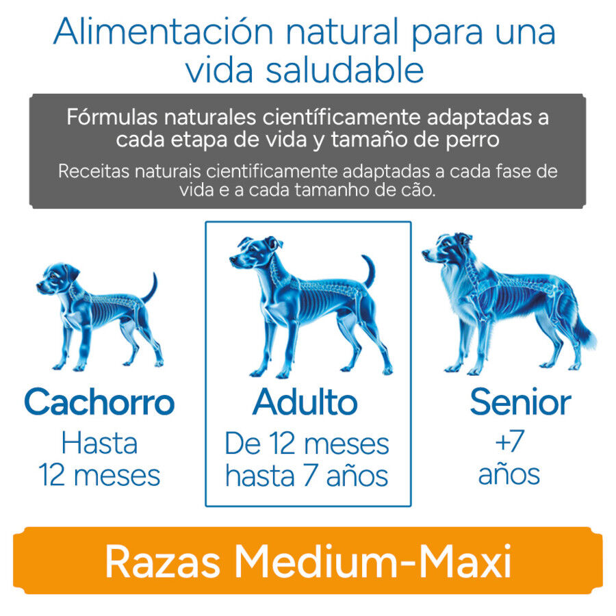 12 kg Criadores Cient&iacute;fico Sensitive Adulto Medium-Maxi Pienso Salm&oacute;n para perros, , large Imagen numero 11