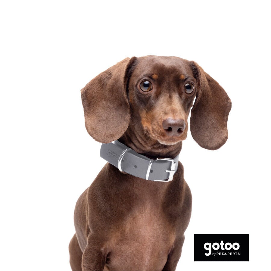 Gotoo Collar Biothane gris para perros