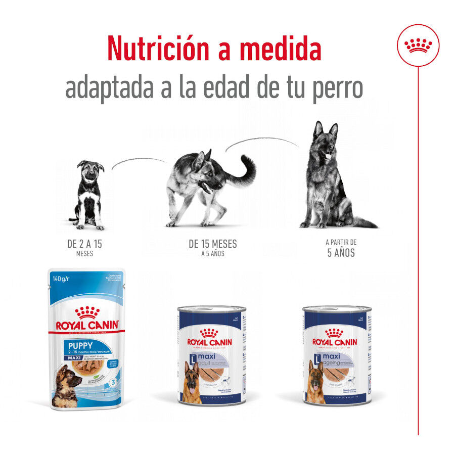 410 g Royal Canin Maxi Ageing 5+ Pat&eacute; lata para perros&nbsp;senior, , large indicador imagen numero 5