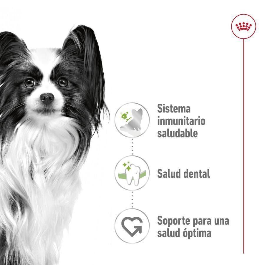 3 kg Royal Canin X-Small Adult pienso para perros, , large indicador imagen numero 5