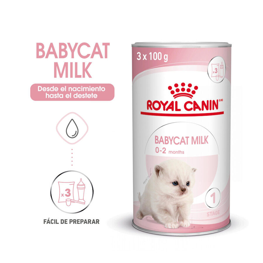 300 g Royal Canin Leche para gatitos primer a&ntilde;o, , large indicador imagen numero 3