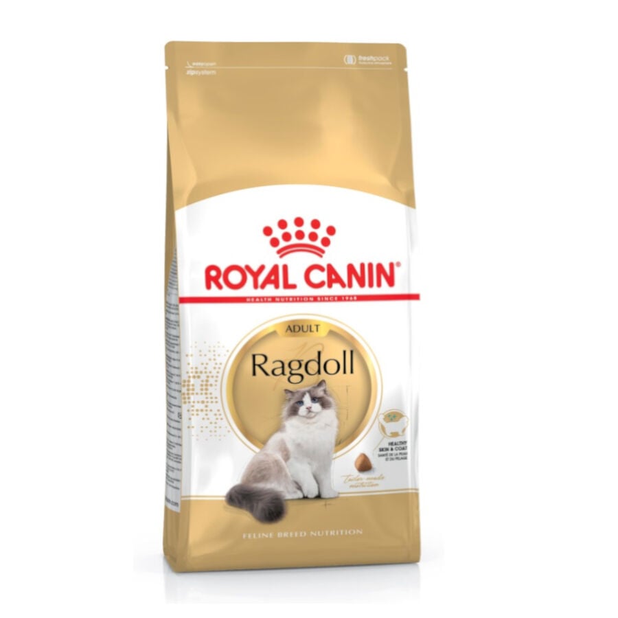 2 kg Royal Canin Adult Ragdoll pienso para gatos, , large Imagen numero 1