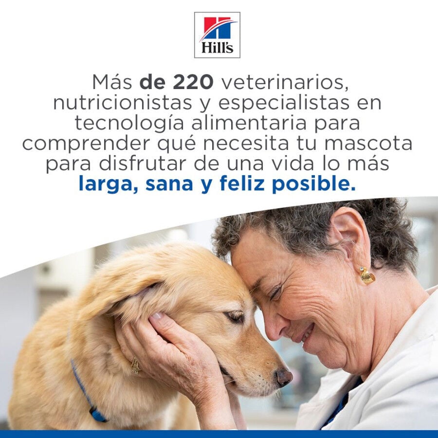 363 g Hill's Adult Perfect Weight Pollo y Vegetales lata para perros, , large Imagen numero 7