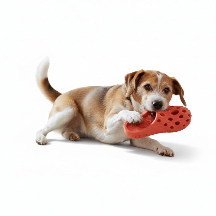 All For Paws Pantuflas Air Pups Juguete para perros &nbsp;, , large indicador imagen numero 2