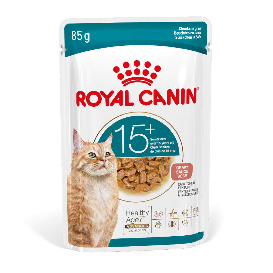 85 g Royal Canin Ageing +15 Comida H&uacute;meda para gatos senior&nbsp;, , large Imagen numero 1