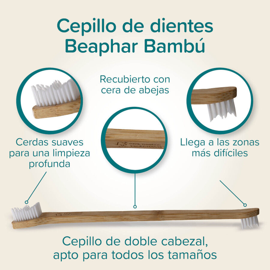 Beaphar Cepillo Dental de Bamb&uacute; para Perros y Gatos, , large indicador imagen numero 6
