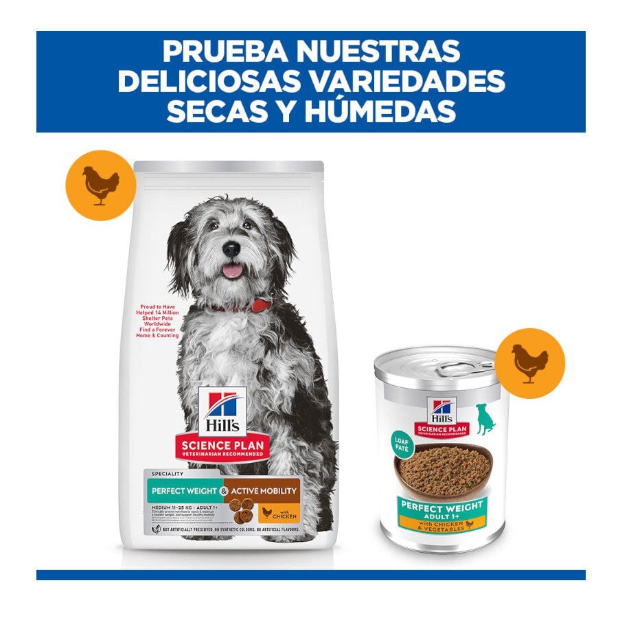 12 kg Hill's Science Plan Perfect Weight y Active Mobility pollo pienso para perros medianos, , large indicador imagen numero 9