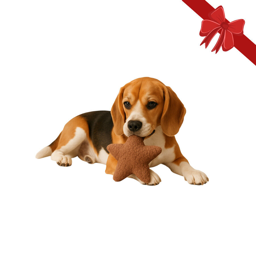 Wonder Christmas Peluche Estrella Navide&ntilde;a para perros