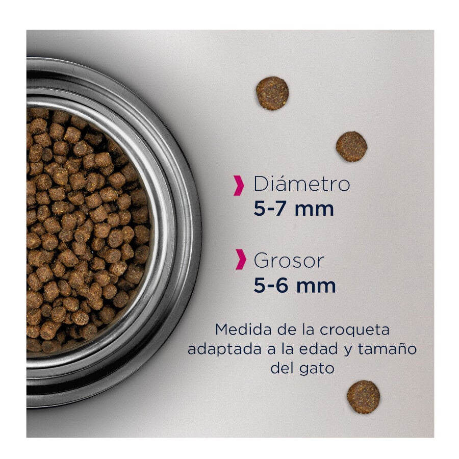 Eukanuba Kitten comida para gatos cachorros Imagen numero 2