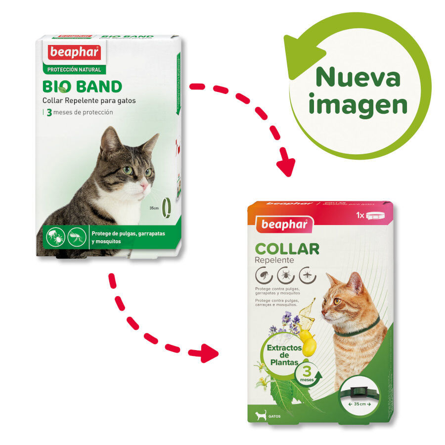 Beaphar Bioband Collar repelente para gatos, , large indicador imagen numero 2