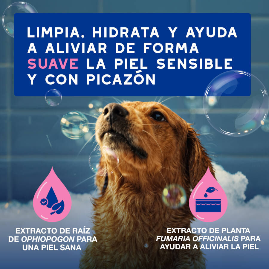 Ceva Douxo Spa Champ&uacute; Alivia para perros, , large indicador imagen numero 7