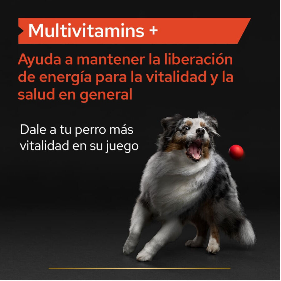 67 g Pro Plan Multivitamin Suplemento para perros, , large Imagen numero 3