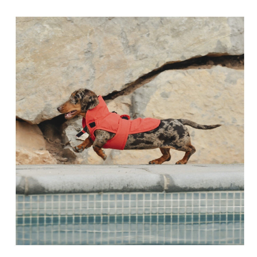 Freedog Paw Shield Rojo Abrigo Impermeable para perros, , large indicador imagen numero 2