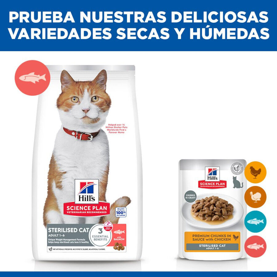 7 kg Hill's Science Plan Sterilised Adult Salm&oacute;n pienso para gatos, , large indicador imagen numero 8