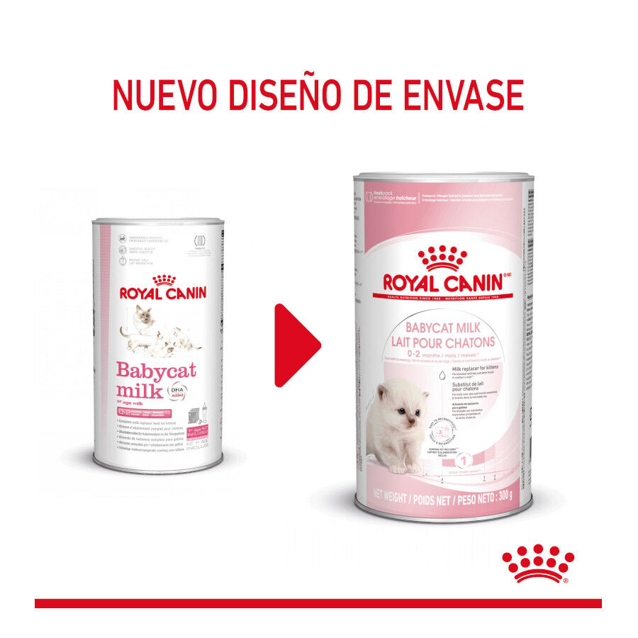 300 g Royal Canin Leche para gatitos primer a&ntilde;o, , large indicador imagen numero 2