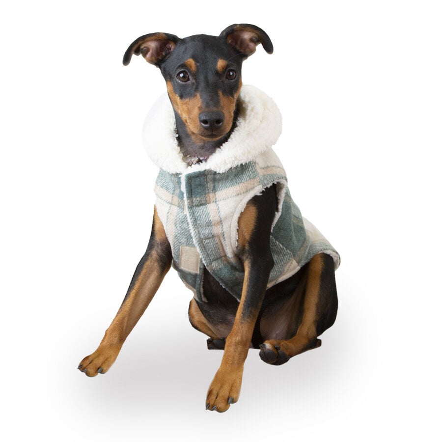 Outech Trenca Azul para perros, , large indicador imagen numero 1