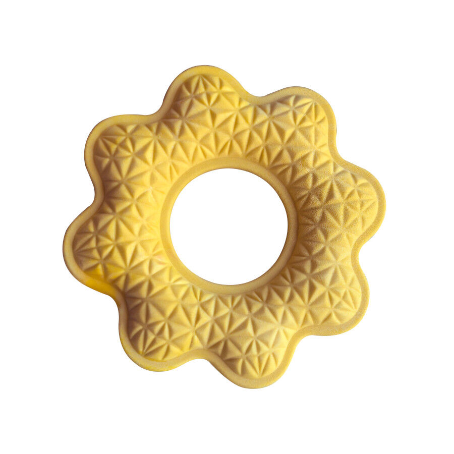 Summer Vibes Mordedor flotante con forma de flor para perros, , large Imagen numero 1