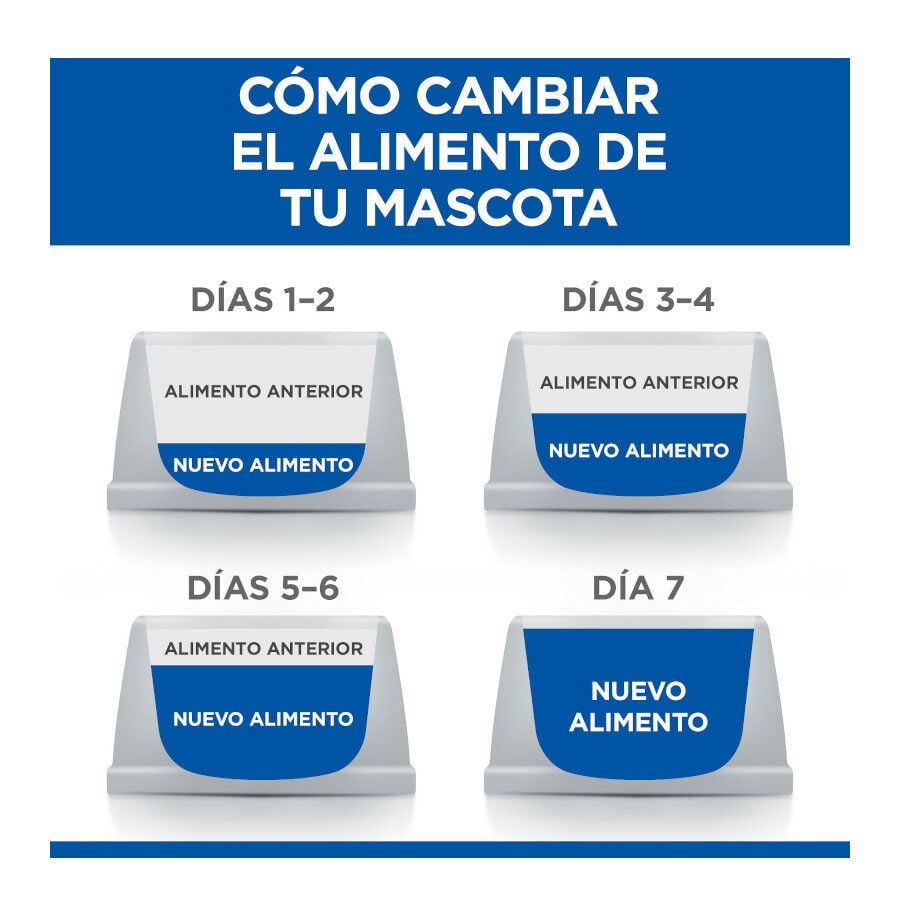 12 sobres x 85 g Hill's Science Plan Sterilised Adult Pollo y Salm&oacute;n en Salsa sobre para gatos, , large indicador imagen numero 5