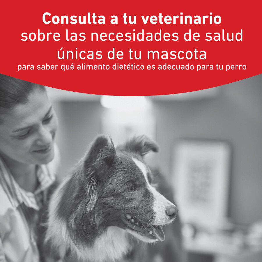 1.5 kg Royal Canin Glycobalance Pienso para perros, , large Imagen numero 2