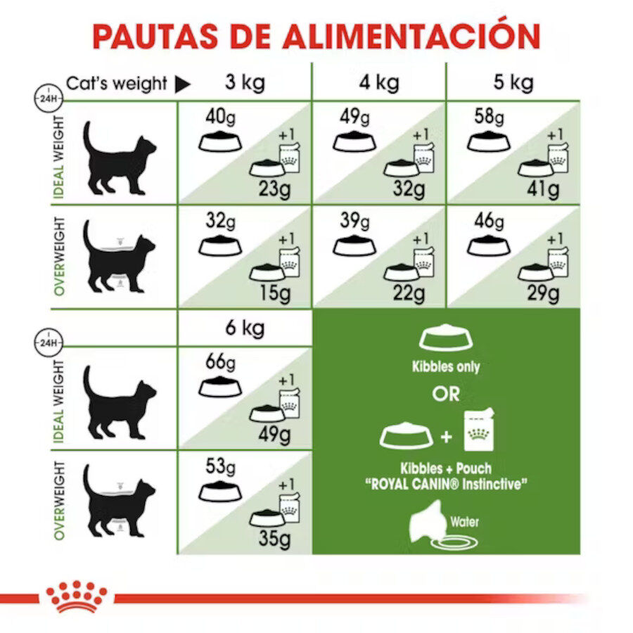 10 kg Royal Canin Active Life Outdoor pienso para gatos, , large Imagen numero 6