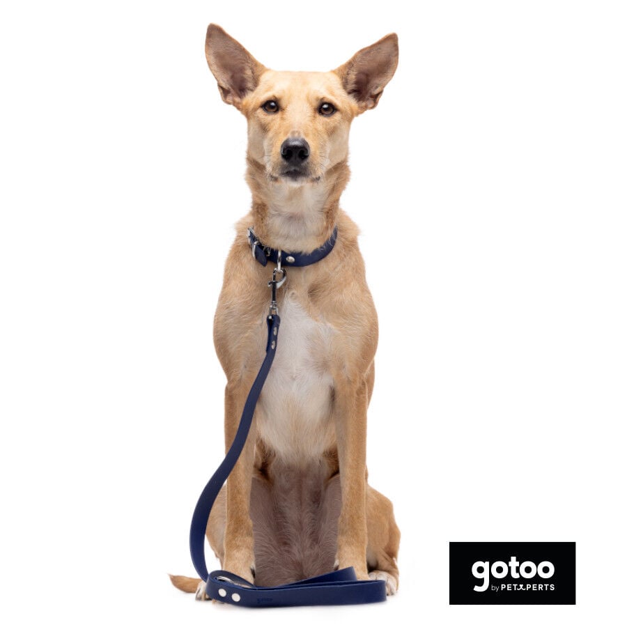 Gotoo Collar Biothane azul para perros, , large indicador imagen numero 9