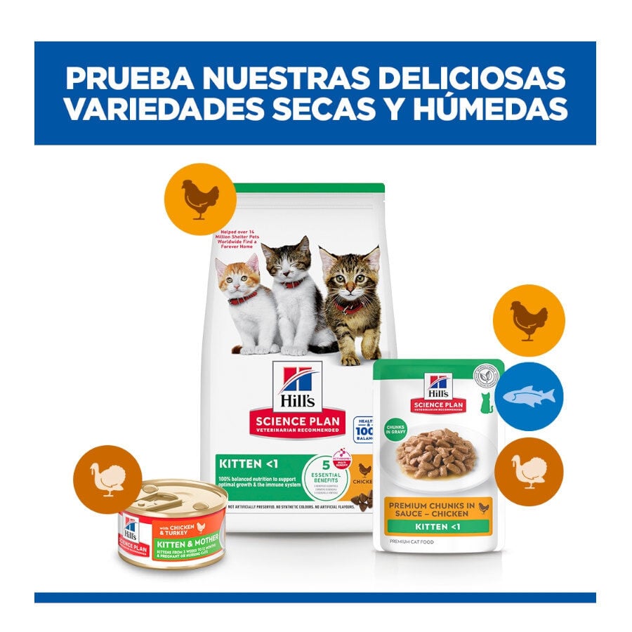85 g Hill's Science Plan Kitten Pollo sobre en salsa para gatitos, , large indicador imagen numero 11
