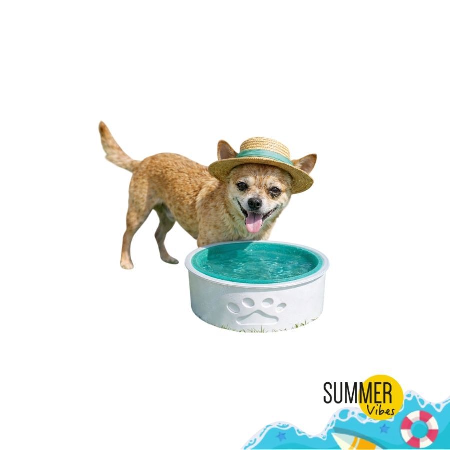 Summer Vibes Bebedero Refrescante para perros, , large indicador imagen numero 6