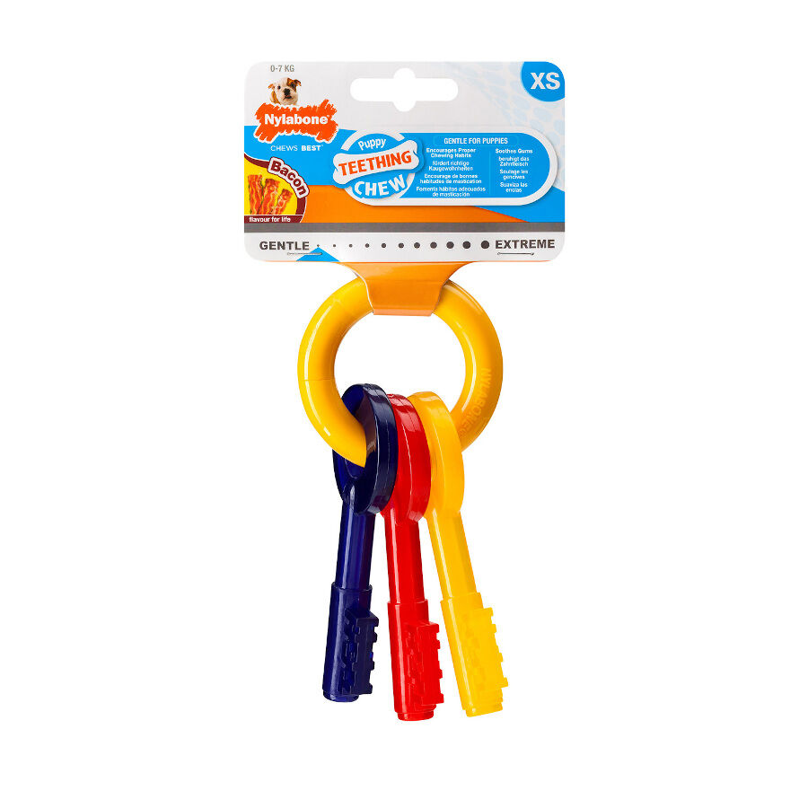 Nylabone Llaves Mordedor Sabor a Bacon para cachorros