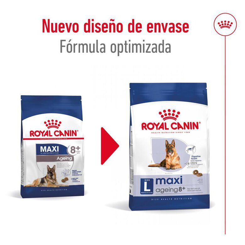 15 kg Royal Canin Maxi Ageing 8+ pienso para perros&nbsp;senior, , large indicador imagen numero 2