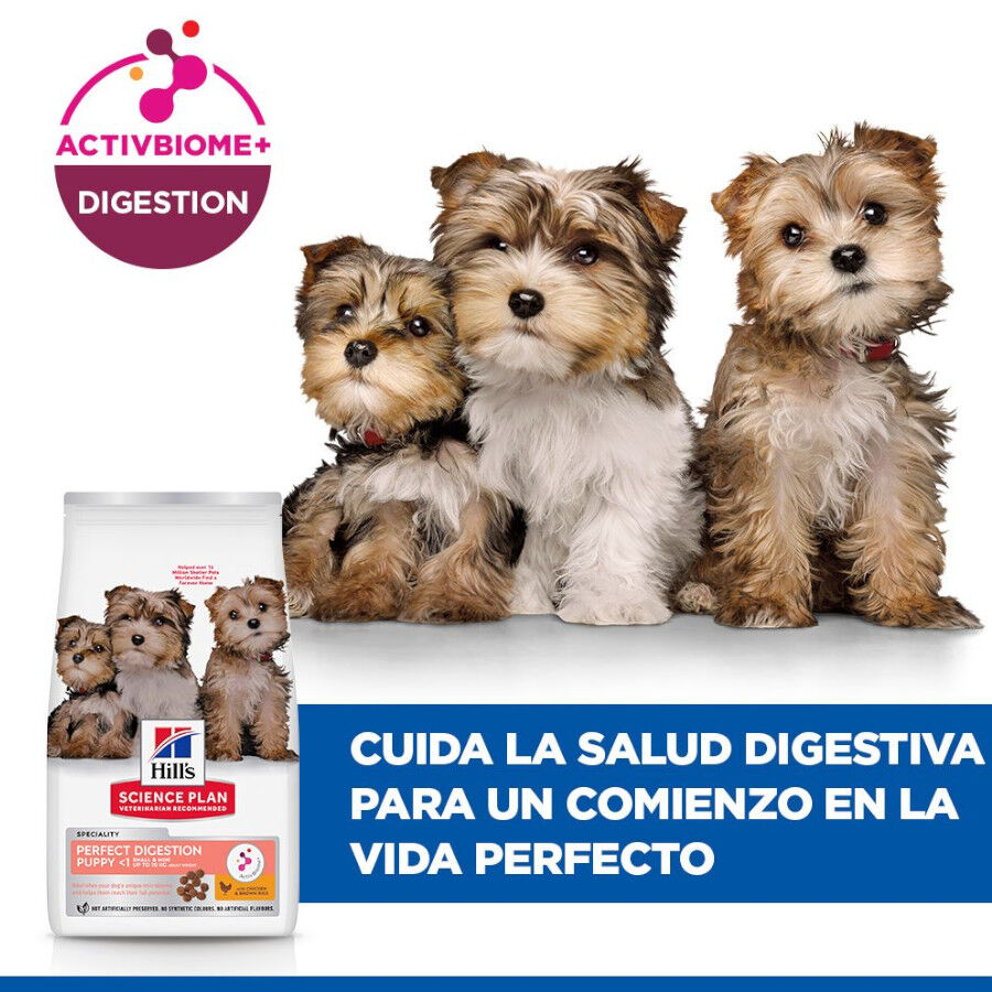 1.5 kg Hill's Science Plan Perfect Digestion Puppy Small y Mini Pollo y Arroz pienso para perros, , large indicador imagen numero 6