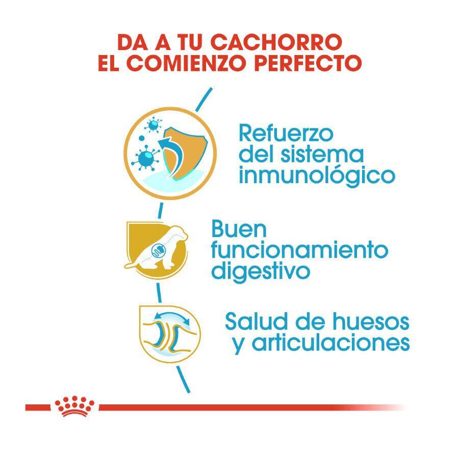 3 kg Royal Canin Puppy Pastor Alem&aacute;n pienso para perros, , large Imagen numero 6
