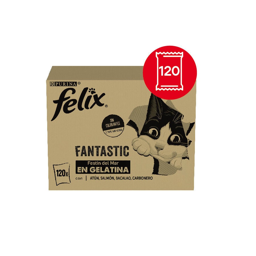 120 sobres x 85 g Felix Fantastic Selecci&oacute;n de Sabores Pescado en Gelatina sobre para gatos - Multipack, , large Imagen numero 2