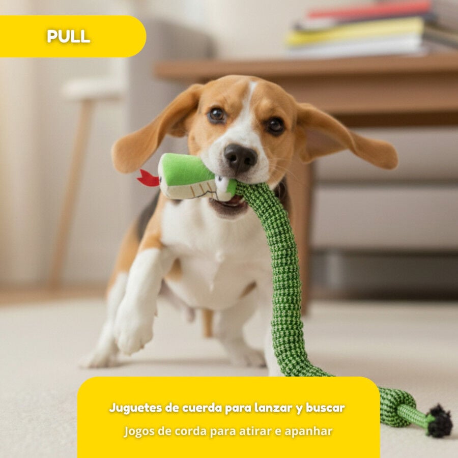 Tootoy! Serpiente Modedor de Cuerda para perros, , large indicador imagen numero 5