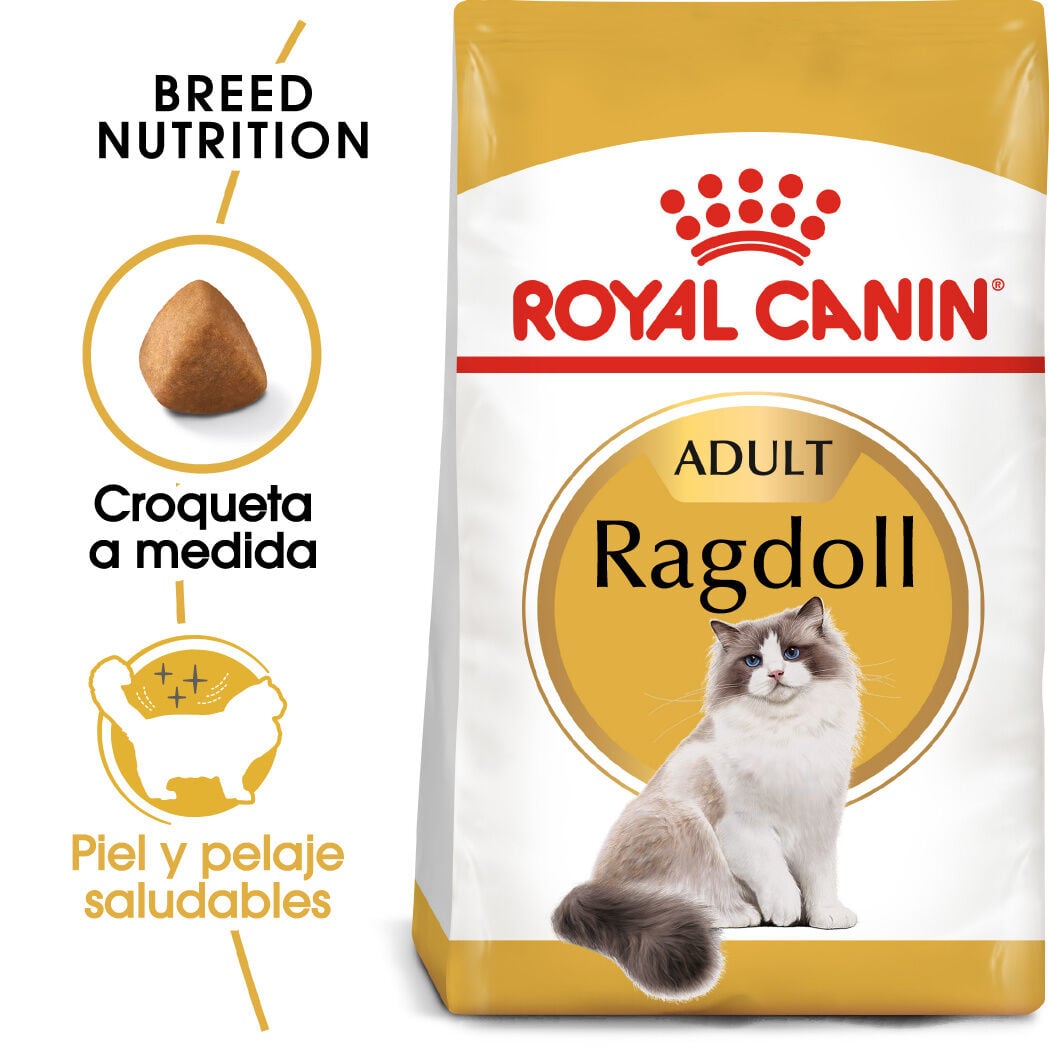 2 kg Royal Canin Adult Ragdoll pienso para gatos, , large Imagen numero 2